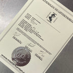 Certificado de autenticidad Mister Turrion, edición limitada firmada y numerada

