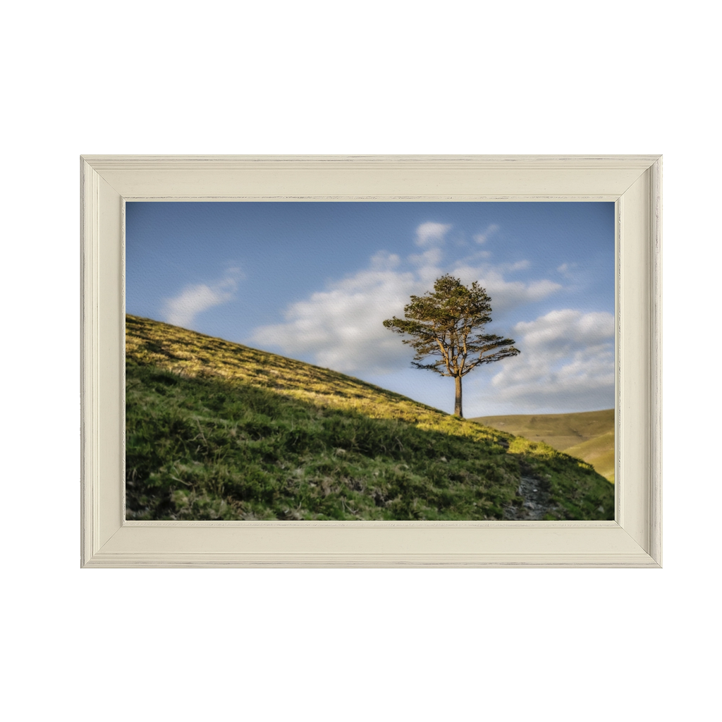 ANDANDO CON LAS NUBES  9