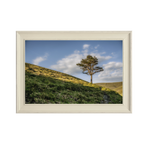 ANDANDO CON LAS NUBES  9