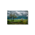 ANDANDO CON LAS NUBES 9