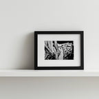 EMPEZAR A VESTIRSE #8