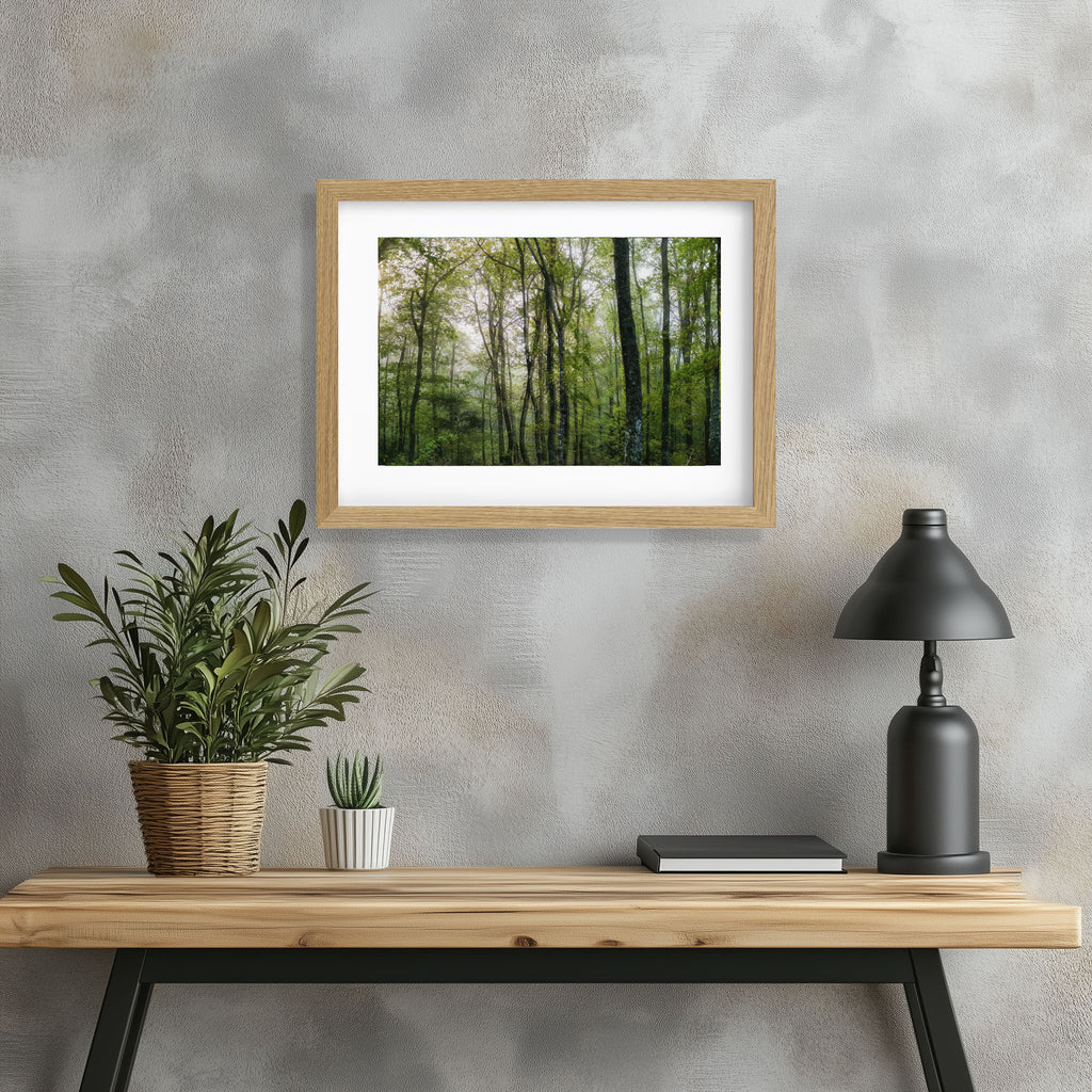 ANDANDO CON LAS NUBES  12