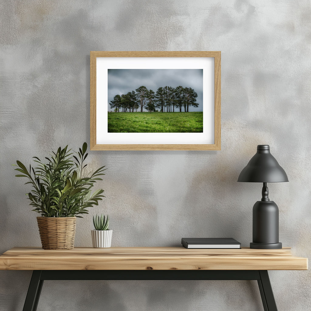 ANDANDO CON LAS NUBES  8