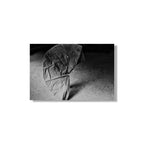 EMPEZAR A VESTIRSE #38