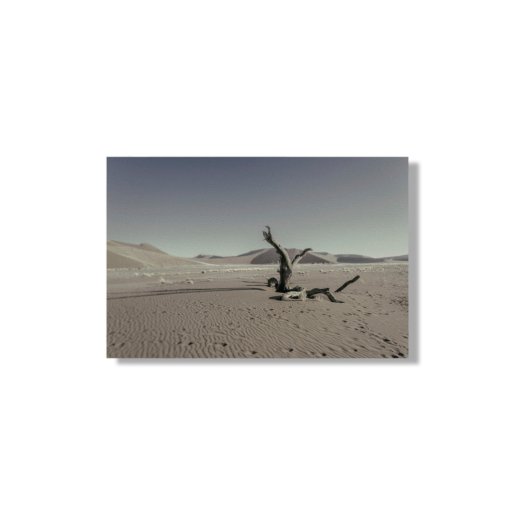 NEVER WALK ALONE  14