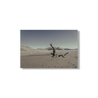 NEVER WALK ALONE  14