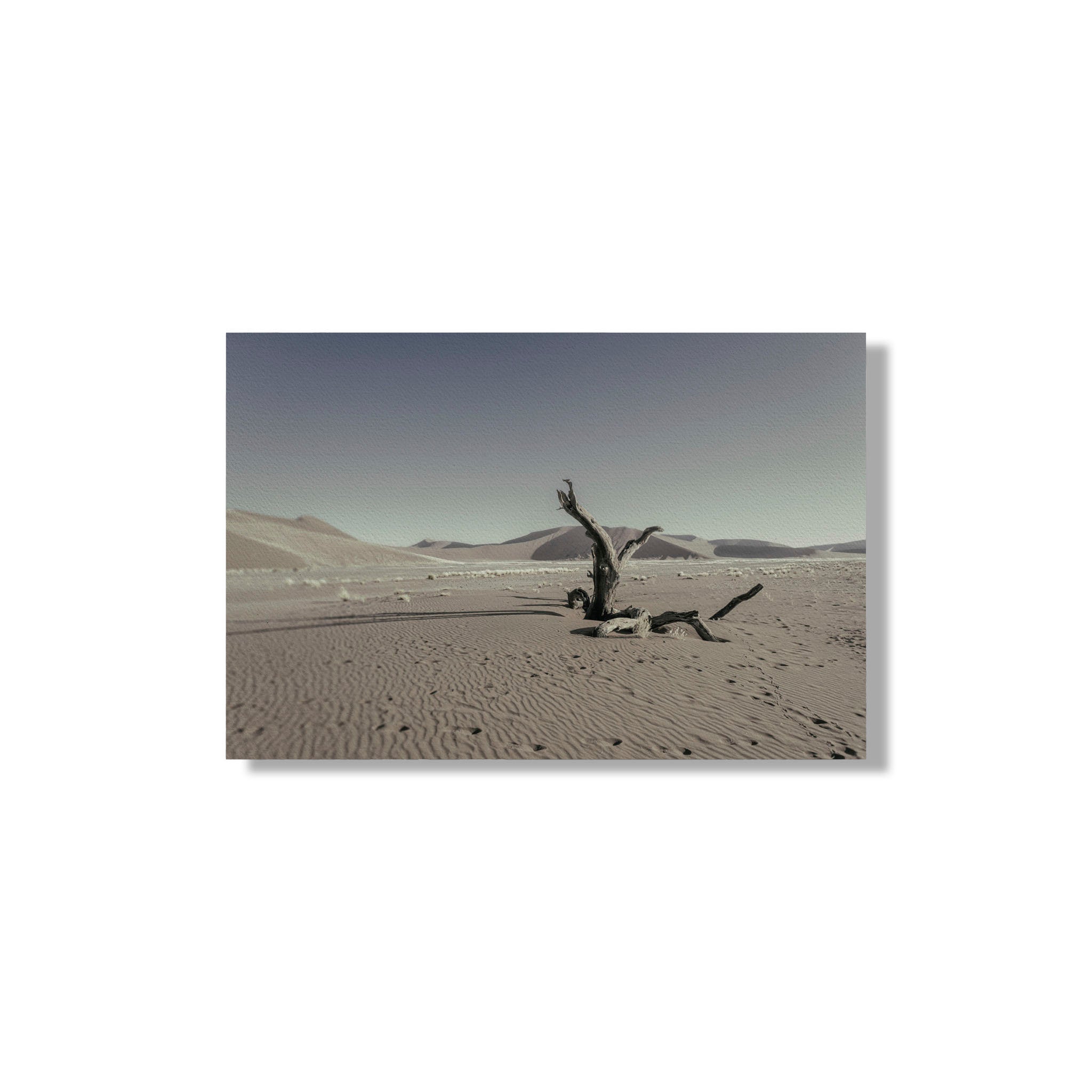 NEVER WALK ALONE  14