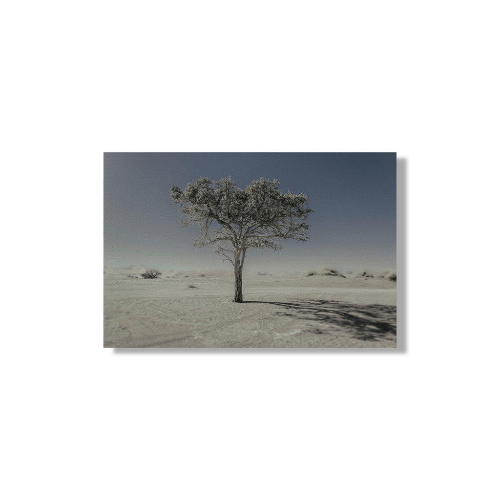 NEVER WALK ALONE  11