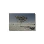 NEVER WALK ALONE  11