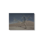 NEVER WALK ALONE  16