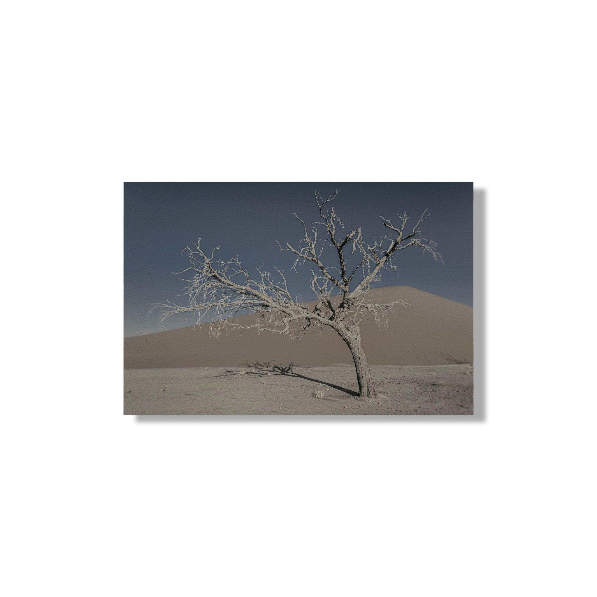 NEVER WALK ALONE  16