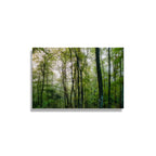 ANDANDO CON LAS NUBES  12