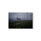 LLAMANDO A LAS PUERTAS DEL CIELO #2