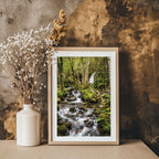 ANDANDO CON LAS NUBES  4