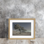 NEVER WALK ALONE  22