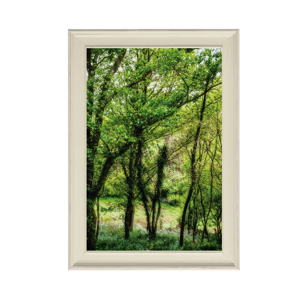 ANDANDO CON LAS NUBES  1