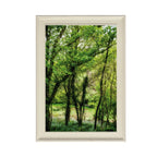 ANDANDO CON LAS NUBES  1