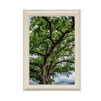 ANDANDO CON LAS NUBES  16