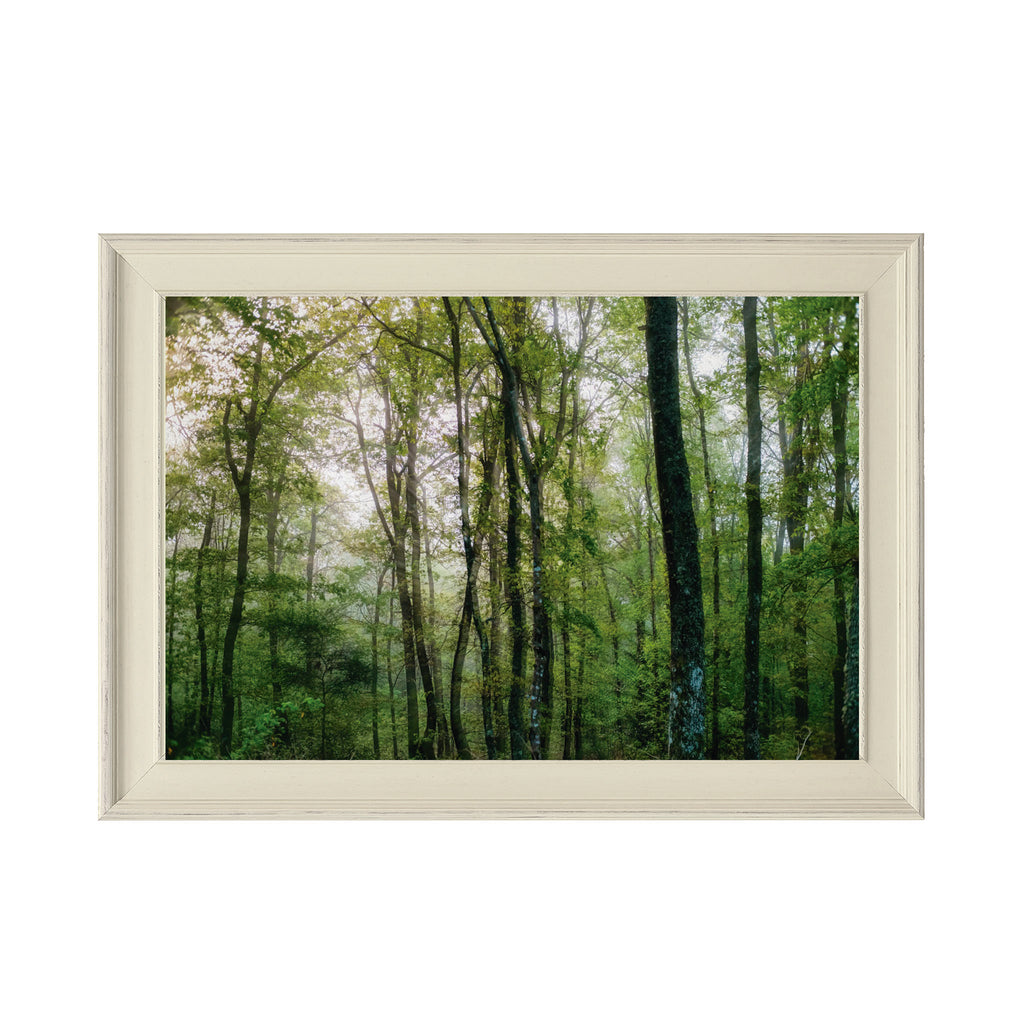 ANDANDO CON LAS NUBES  12