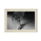 EMPEZAR A VESTIRSE #38