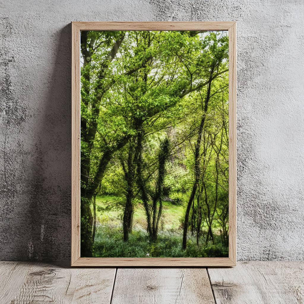 ANDANDO CON LAS NUBES  1