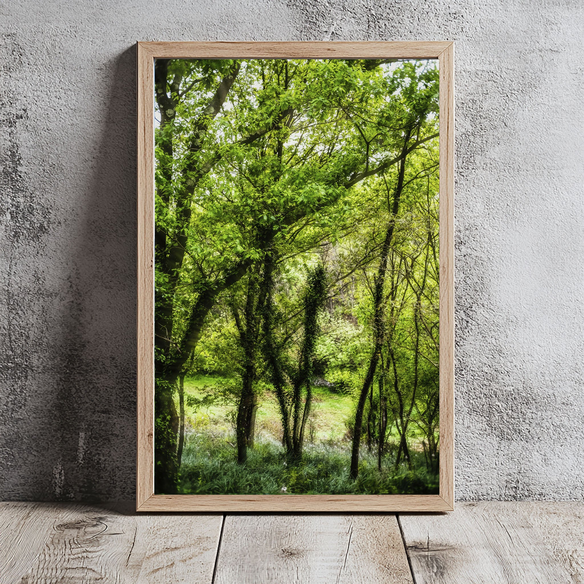 ANDANDO CON LAS NUBES  1