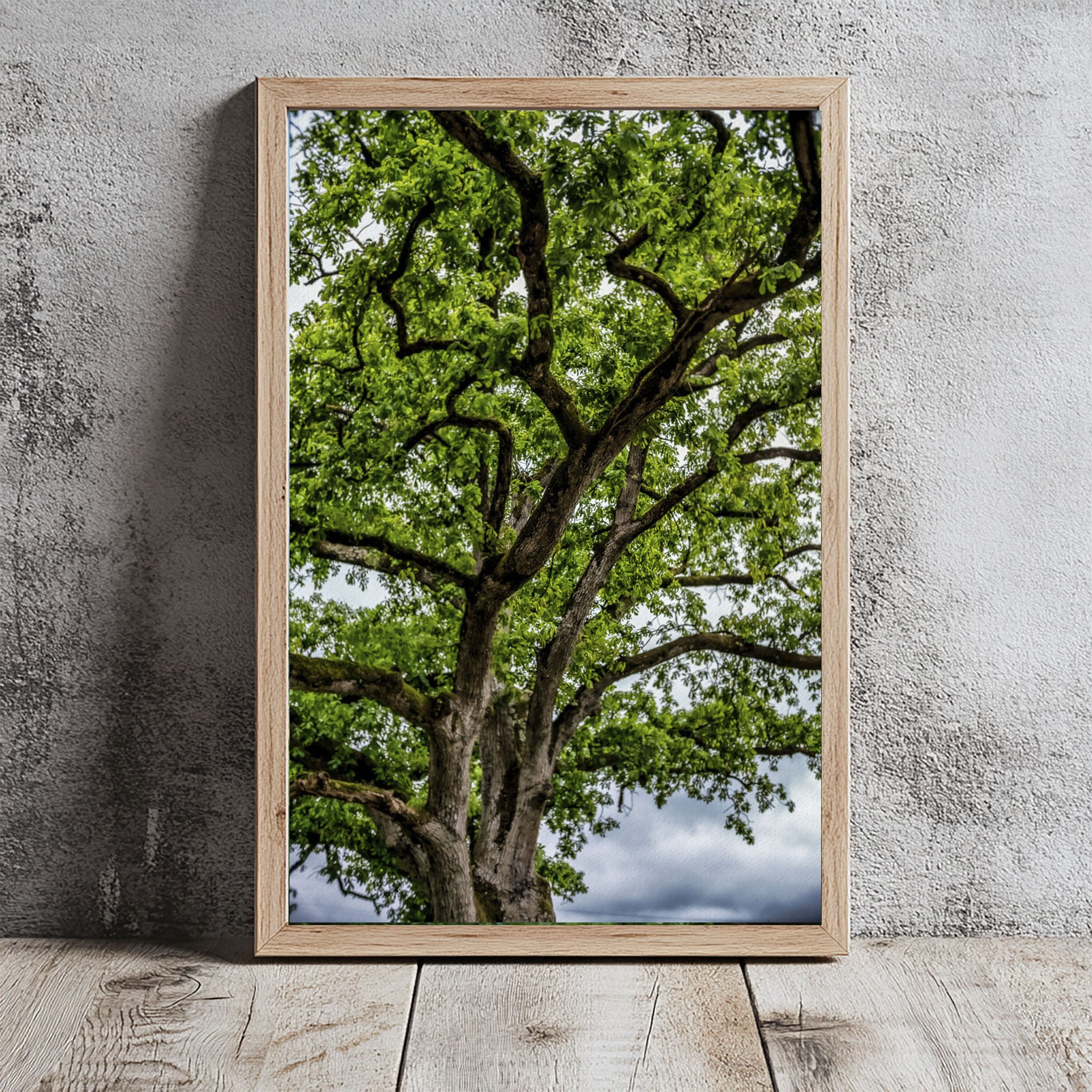 ANDANDO CON LAS NUBES  16