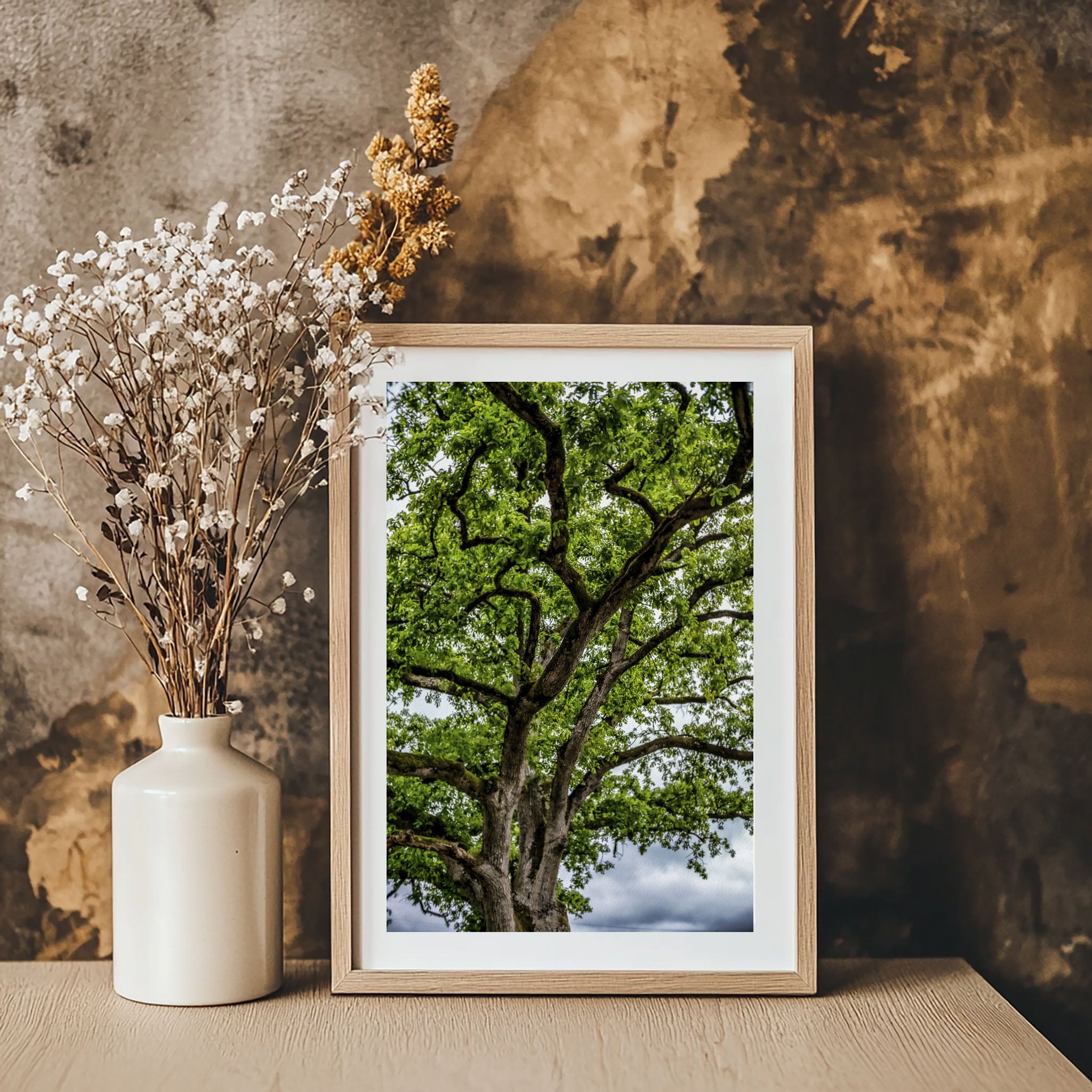 ANDANDO CON LAS NUBES  16