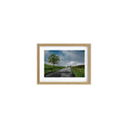 WALKING WITH THE CLOUDS 11