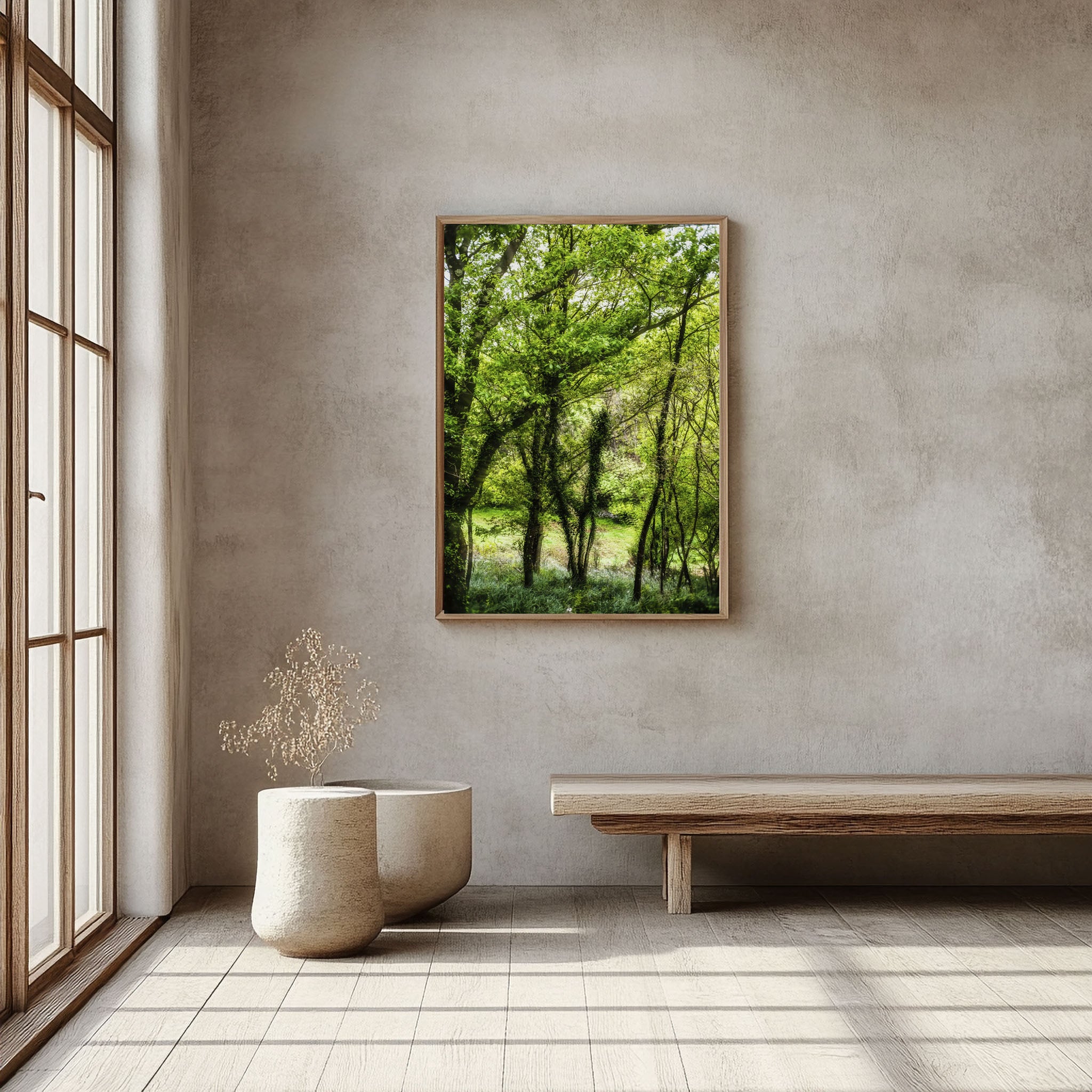 ANDANDO CON LAS NUBES  1