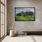 ANDANDO CON LAS NUBES  8