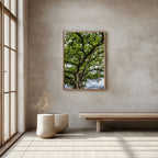 ANDANDO CON LAS NUBES  16