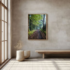 ANDANDO CON LAS NUBES  10