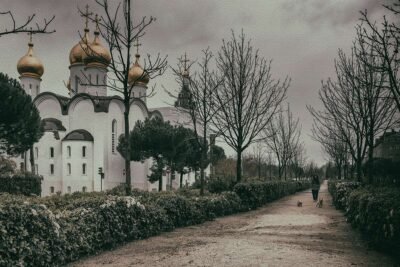 ALONE IN THE CITY 14