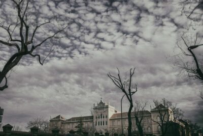 ALONE IN THE CITY 15