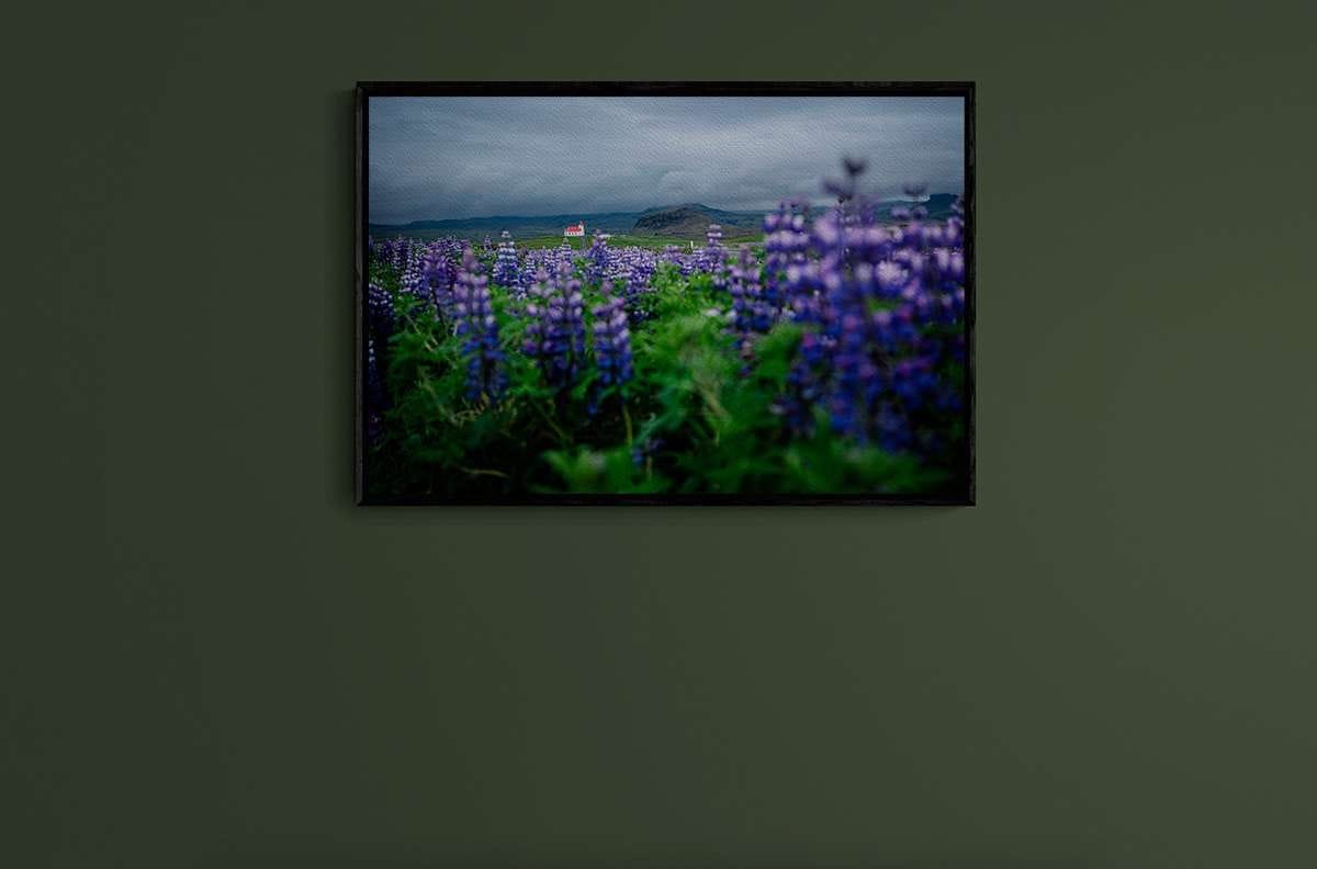 LLAMANDO A LAS PUERTAS DEL CIELO 14 LLAMANDO A LAS PUERTAS DEL CIELO 14 - Imagen 4