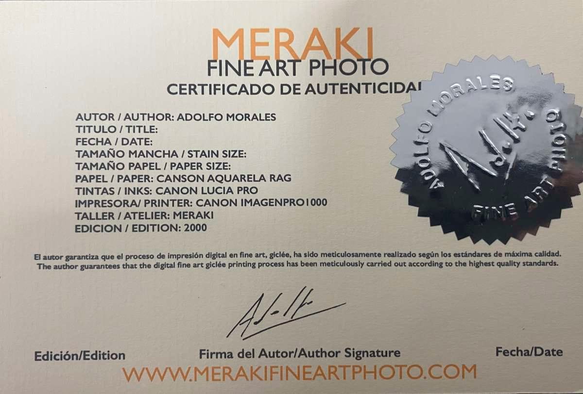 Dolphins 3 Dolphins 3 - Imagen 3