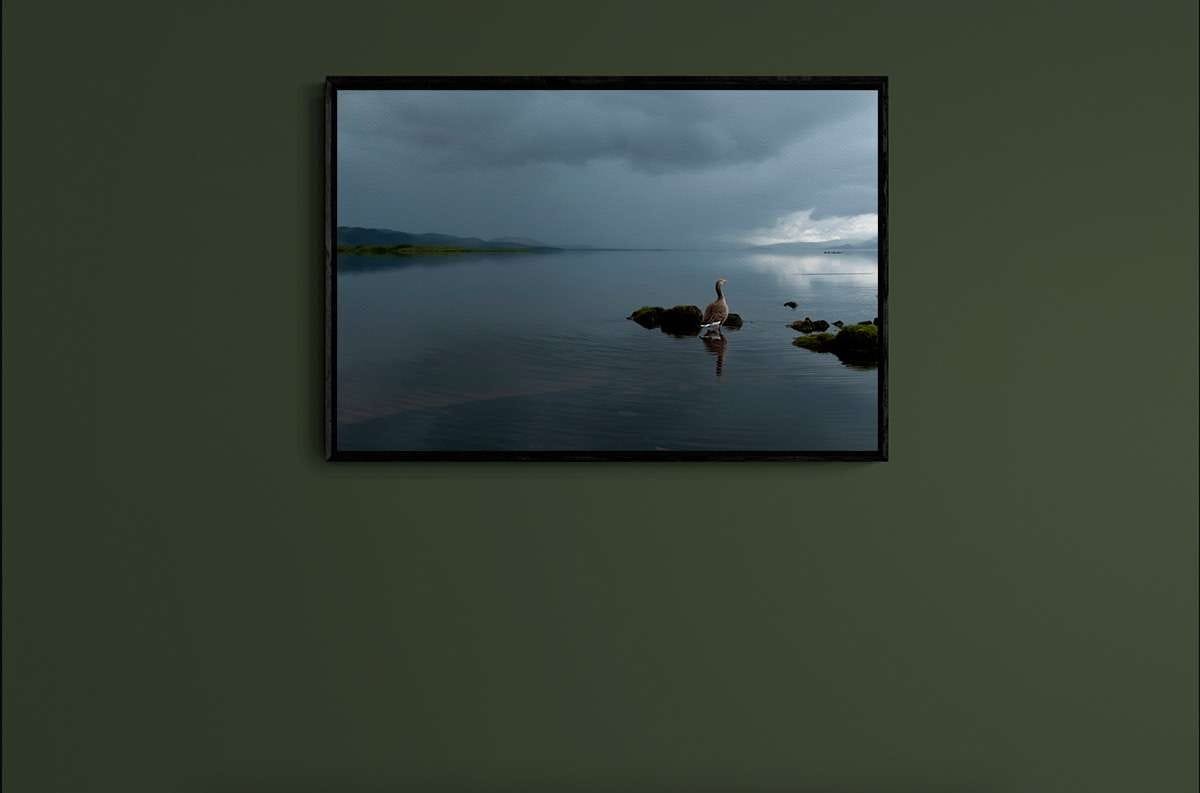 Mirror 9 Mirror 9 - Imagen 2