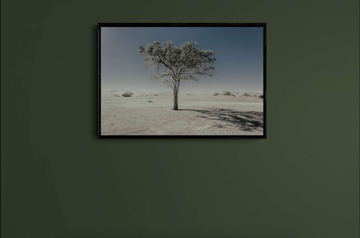 Never Walk Alone 11 Never Walk Alone 11 - Imagen 2