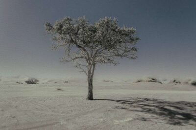 Never Walk Alone 1 Never Walk Alone 11