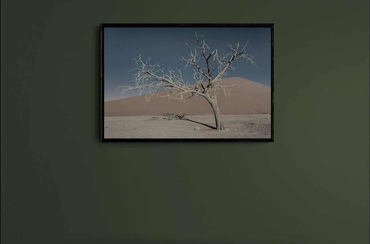 Never Walk Alone 16 Never Walk Alone 16 - Imagen 2