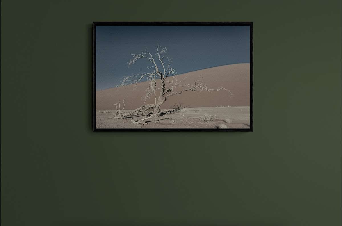 Never Walk Alone 19 Never Walk Alone 19 - Imagen 2