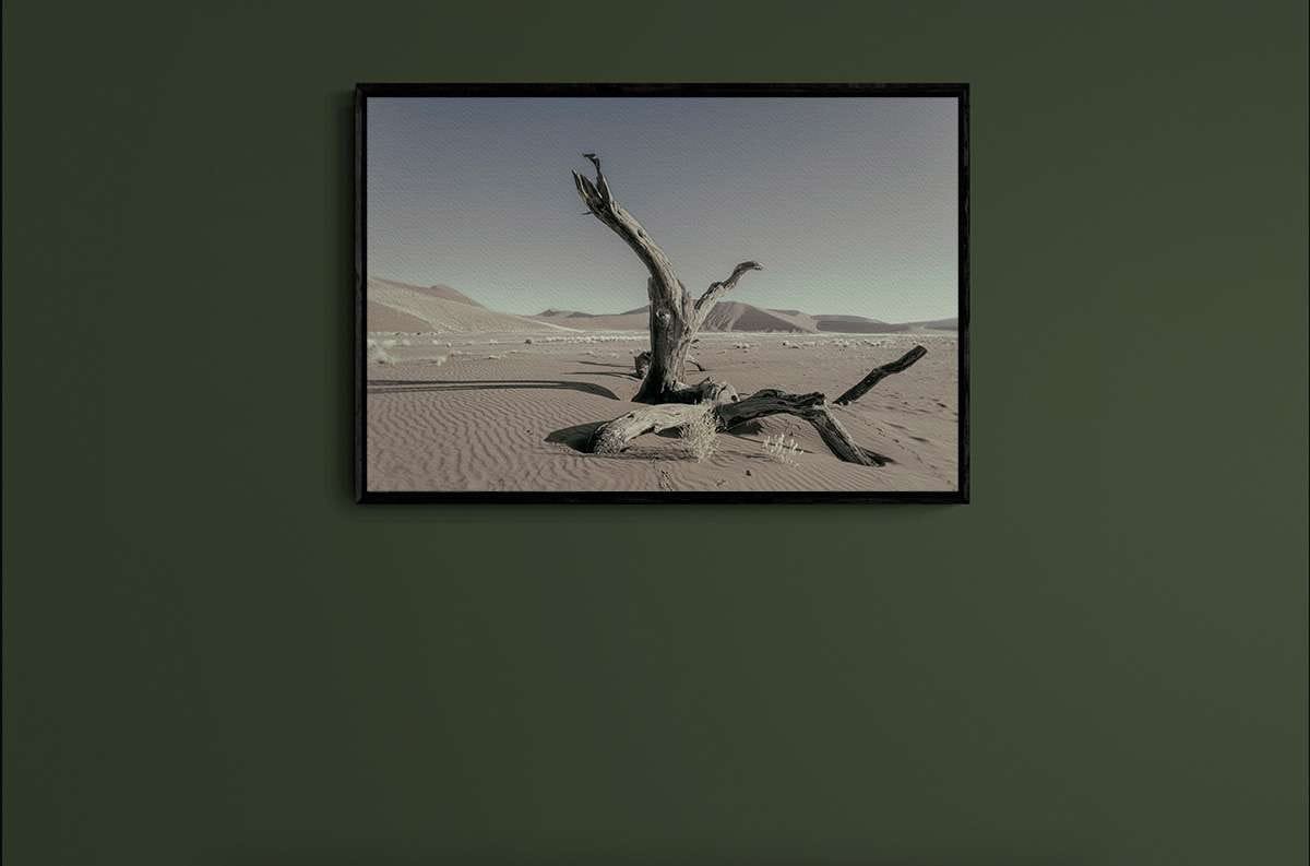 Never Walk Alone 1 Never Walk Alone 1 - Imagen 2