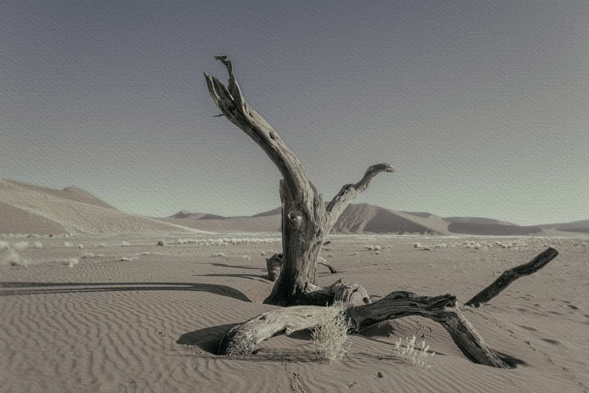 Never Walk Alone 1 Never Walk Alone 1