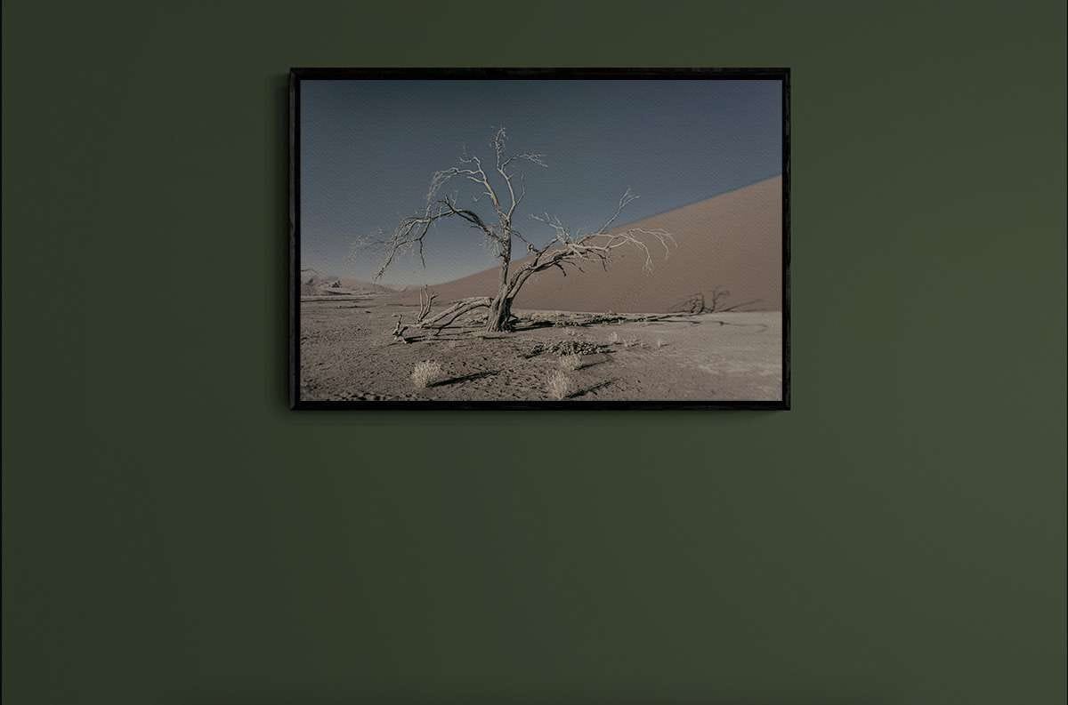 Never Walk Alone 20 Never Walk Alone 20 - Imagen 2