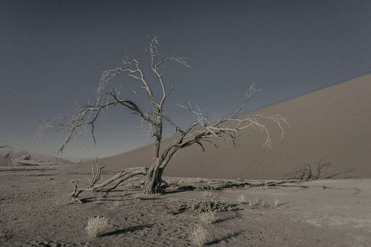 Never Walk Alone 20 Never Walk Alone 20