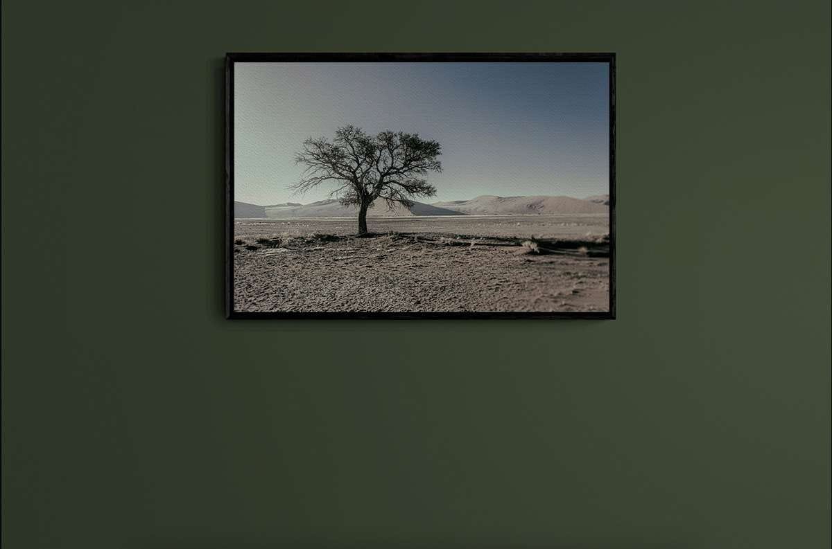 Never Walk Alone 21 Never Walk Alone 21 - Imagen 2