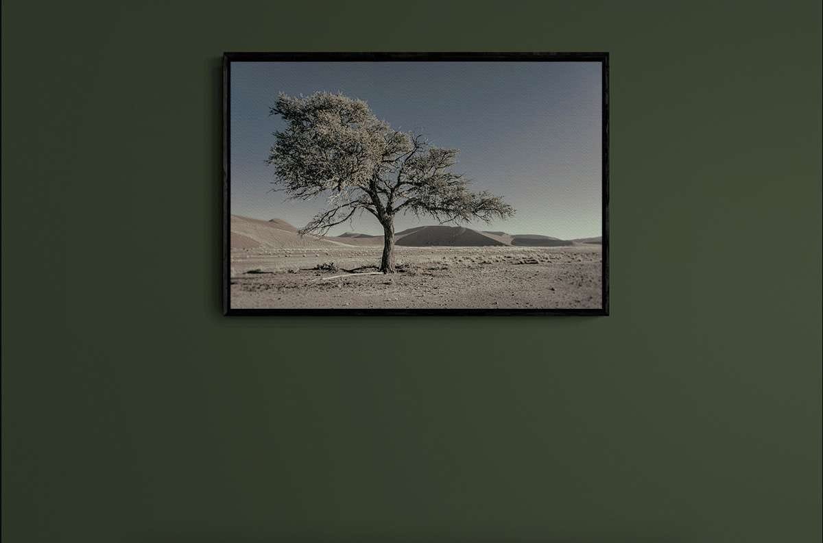 Never Walk Alone 22 Never Walk Alone 22 - Imagen 2