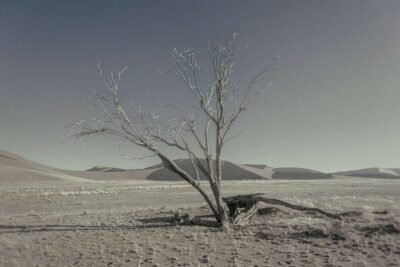 Never Walk Alone 1 Never Walk Alone 23