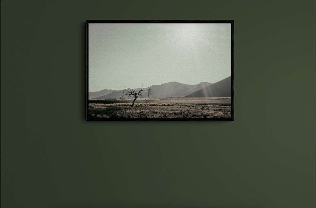 Never Walk Alone 25 Never Walk Alone 25 - Imagen 2